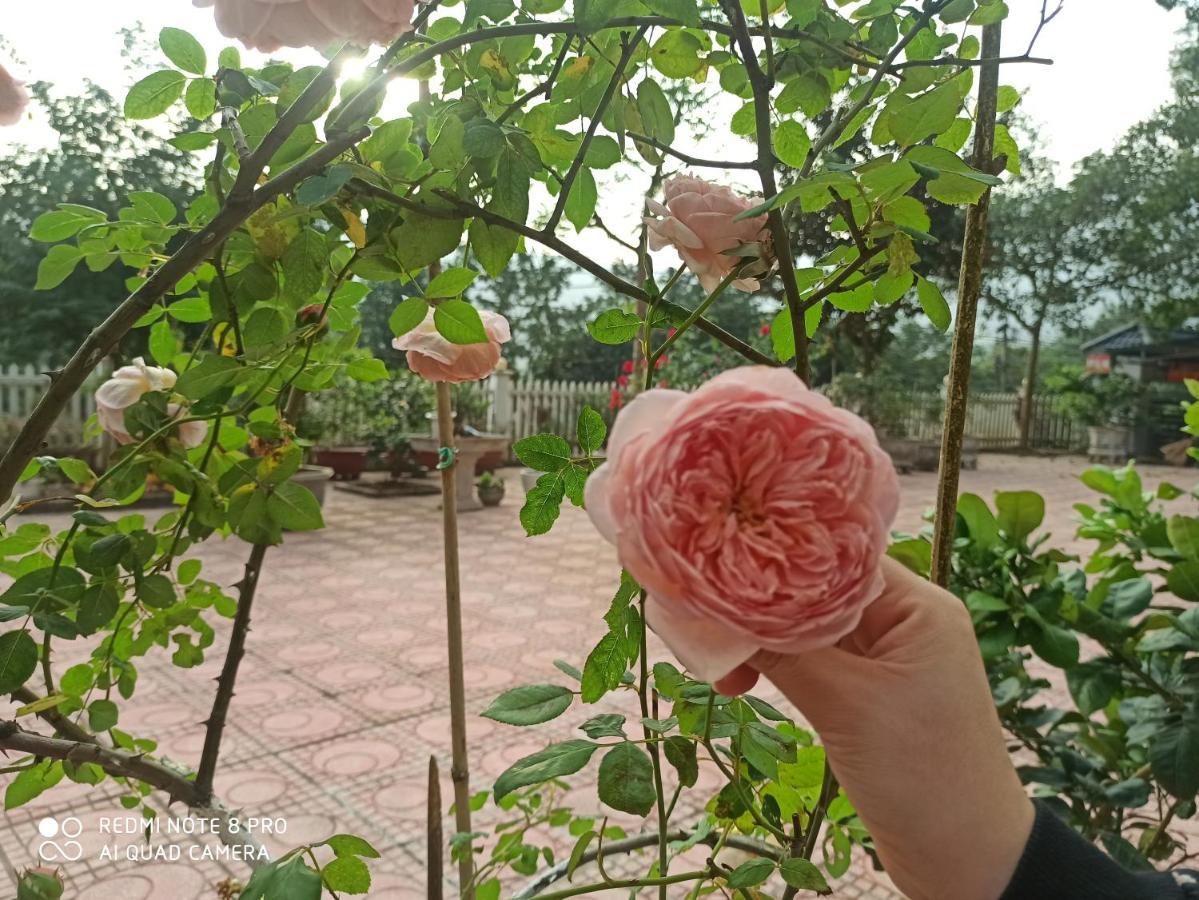 Aku House Villa Ao Vua Ba Vi Esterno foto
