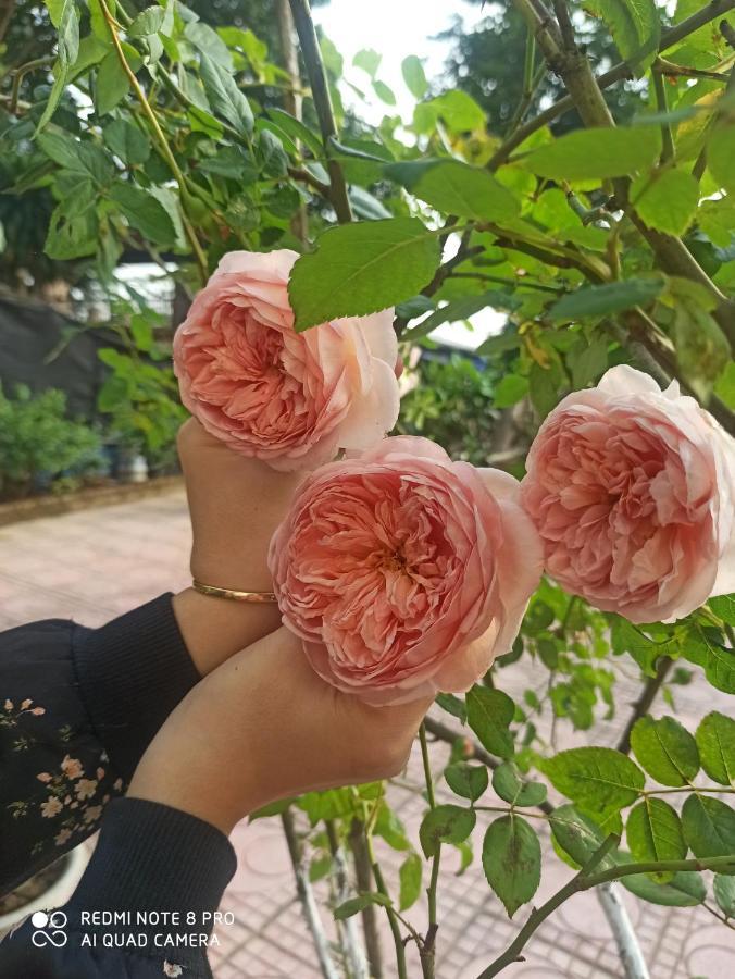 Aku House Villa Ao Vua Ba Vi Esterno foto